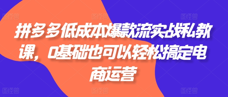 拼多多平台降低成本爆品流实战演练私教，0基本还可以轻松解决网店运营-沐颜网创资源