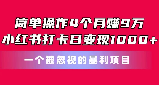 易操作4个月赚9w，小红书的打卡签到日转现1k，一个被忽略的暴力新项目【揭密】-沐颜网创资源