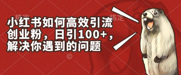 小红书的如何有效引流方法自主创业粉，日引100 ，解决你遇到的困难【揭密】-沐颜网创资源