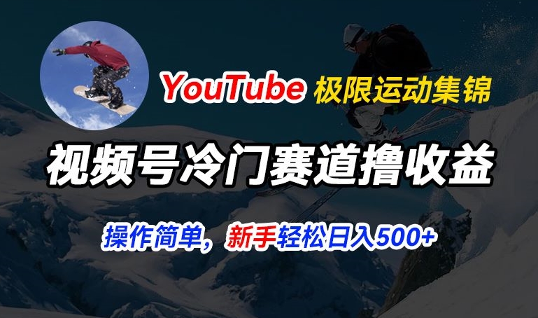 微信视频号小众跑道撸盈利，YouTube运送滑雪运动合集，暴力行为养号，使用方便总流量高，轻轻松松日入5张【揭密】-沐颜网创资源