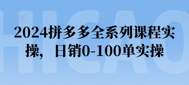 2024拼多多平台全主题课程实际操作，日销0-100单实际操作【必读】-沐颜网创资源