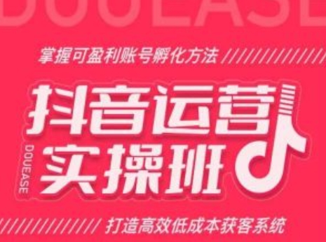 自媒体运营实际操作班，把握可赢利账户卵化方式，打造高效降低成本获客软件-沐颜网创资源