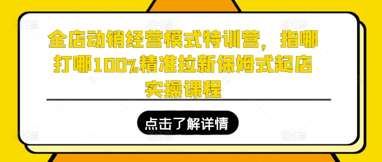 全店动销运营模式夏令营，指哪打哪100%精确引流跟踪服务出单实操课程-沐颜网创资源