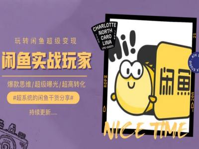 教你如何0到1系统软件轻松玩闲鱼平台转现，爆品逻辑思维/非常曝出/极高转换-沐颜网创资源