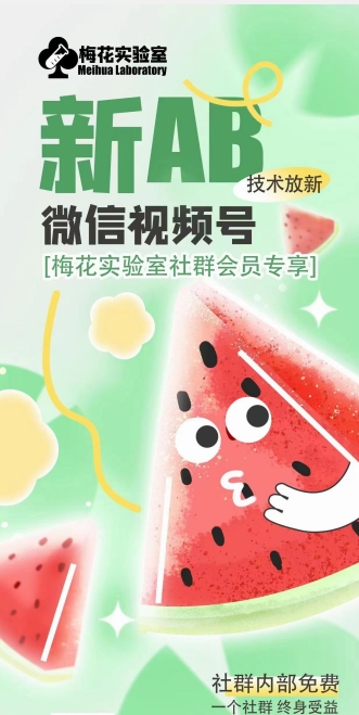 红梅花试验室2024年AB技术性微信视频号AB生成安卓版-沐颜网创资源
