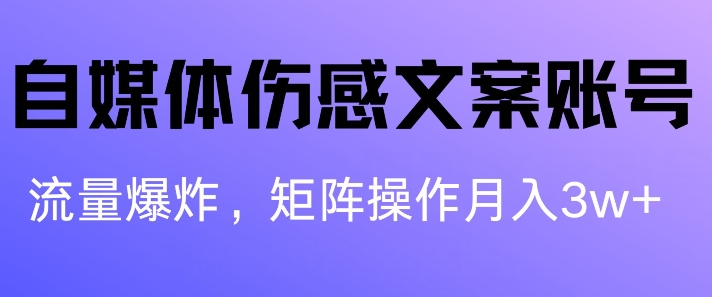 自媒体平台伤感文案账户，制作简单，总流量发生爆炸账户非常容易拷贝，引流矩阵月入1W-沐颜网创资源