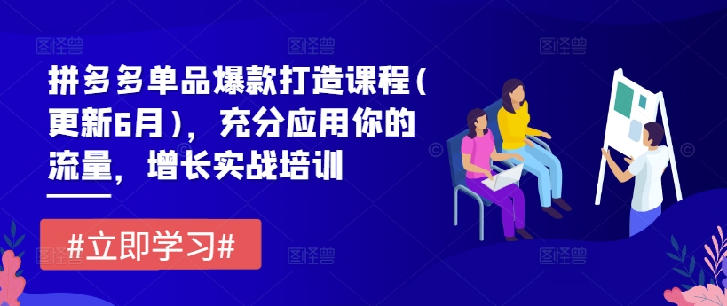 拼多多平台品类爆款打造课程内容(升级6月)，充分应用你的流量，提高实战培训-沐颜网创资源