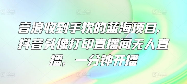 音浪收到手软的蓝海项目，抖音头像打印直播间无人直播，一分钟开播-沐颜网创资源