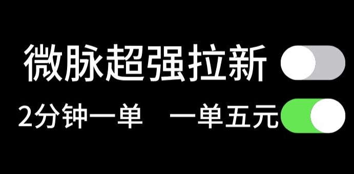 微脉没脑子引流，每一单5元钱，轻轻松松日入三位数-沐颜网创资源