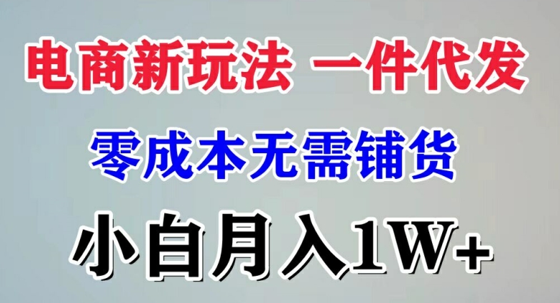 电子商务新模式 一件代发,零成本不用进货，新手月入1W-沐颜网创资源