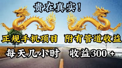 靠谱手机项目，附带丰富多样的管道收益，每日几个小时，盈利300-沐颜网创资源