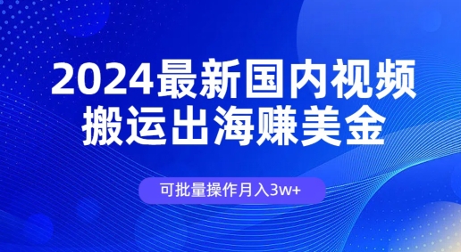 2024全新中国视频搬运出航赚美金，可批量处理月入3w-沐颜网创资源