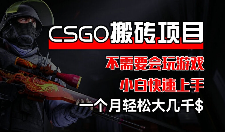 CSGO 装备搬砖项目，操作简单，不需要会玩游戏，小白也能快速上手，一个月轻松大几千【揭秘】-沐颜网创资源