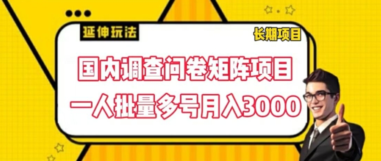 国内调查问卷矩阵项目，一人批量多号月入3000【揭秘】-沐颜网创资源