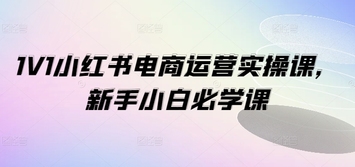 1V1小红书的电商运营实操课，新手入门必会课-沐颜网创资源