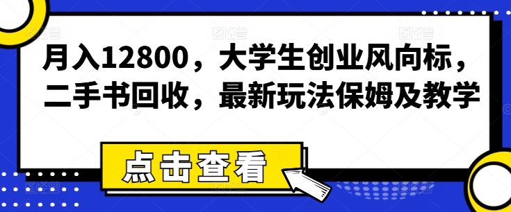 月入12800，学生创业方向标，二手书回收，全新游戏玩法家庭保姆及教学-沐颜网创资源