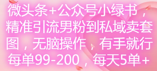 头条 微信公众号小绿书，精准引流方法粉丝到公域卖套图，没脑子实际操作，有手就行，每一单99-200，每日5单-沐颜网创资源