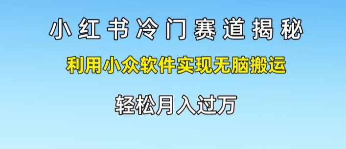 小红书的小众跑道揭密，运用小众软件完成没脑子运送，轻轻松松月入了万-沐颜网创资源