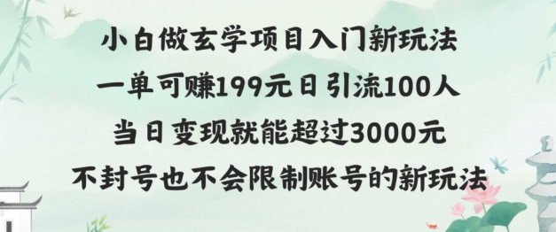 玄学项目入小白入门新玩法一单可赚199元日变现200+不封号不违规-沐颜网创资源