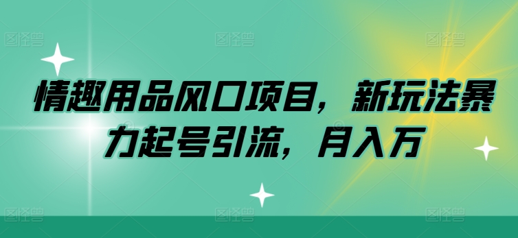 情趣用具蓝海项目，新模式暴力行为养号引流方法，月入万-沐颜网创资源