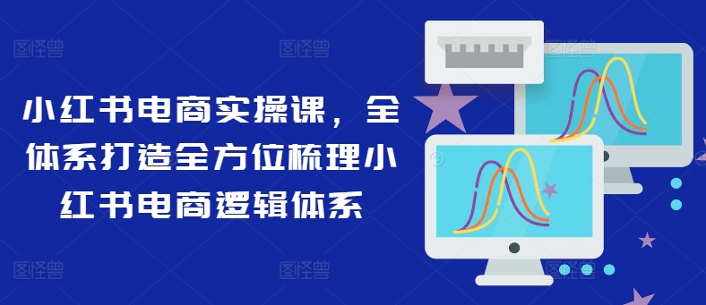 小红书电商实操课，全管理体系打造出多方位整理小红书电商逻辑框架-沐颜网创资源