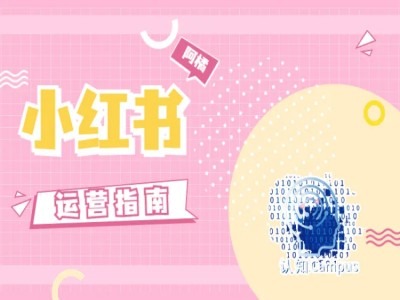 小红书运营手册，无套路，都是工作经验-沐颜网创资源