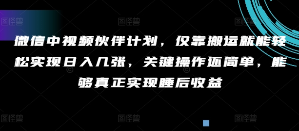 手机微信中视频伙伴方案，只靠运送就能轻轻松松完成日入多张，重要实际操作还简单，可以更好的完成睡后盈利-沐颜网创资源