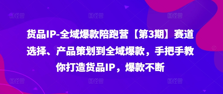 货品IP全域爆款陪跑营【第3期】赛道选择、产品策划到全域爆款，手把手教你打造货品IP，爆款不断-沐颜网创资源