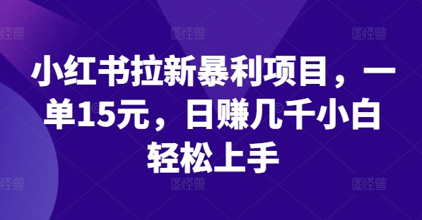 小红书的引流赚钱项目，一单15元，日赚好几千新手快速上手【揭密】-沐颜网创资源