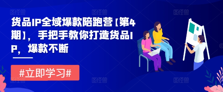 货品IP全域爆款陪跑营【第4期】，手把手教你打造货品IP，爆款不断-沐颜网创资源