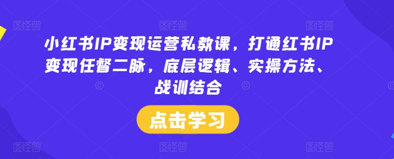小红书IP变现运营私教课，打通红书IP变现任督二脉，底层逻辑、实操方法、战训结合-沐颜网创资源
