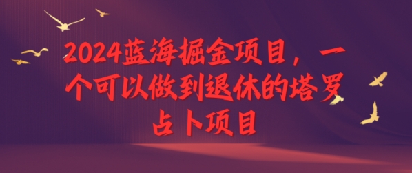 2024瀚海掘金队新项目，一个能做到退休塔罗牌占卜新项目-沐颜网创资源