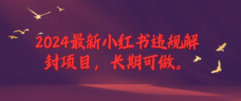 2024全新小红书违规解除限制新项目，长期性能做，一个能做到退休新项目【揭密】-沐颜网创资源