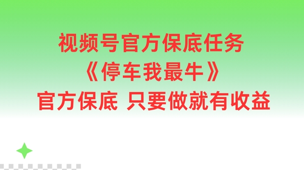 微信视频号官方网最低每日任务，泊车我最牛，官方网最低只要做就会有盈利【揭密】-沐颜网创资源