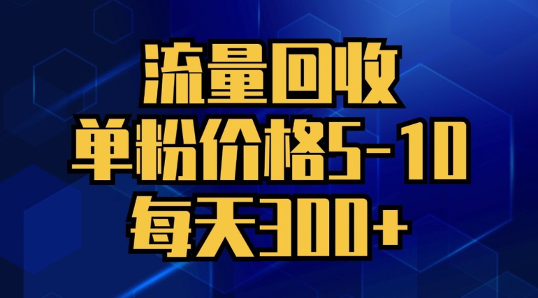 总流量回收利用，单粉价钱5-10，每日300 ，轻轻松松月入五位数-沐颜网创资源