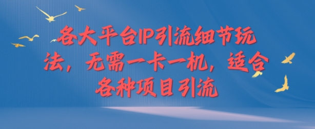 各个平台IP引流方法小细节游戏玩法，不用一卡一机，适用于各种新项目引流方法-沐颜网创资源