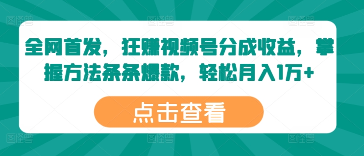 独家首发，狂赚微信视频号分为盈利，掌握方法一条条爆品，轻轻松松月入1万-沐颜网创资源