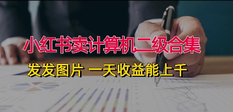 小红书的卖计算机二级合辑，发发图 一天收入能过千-沐颜网创资源