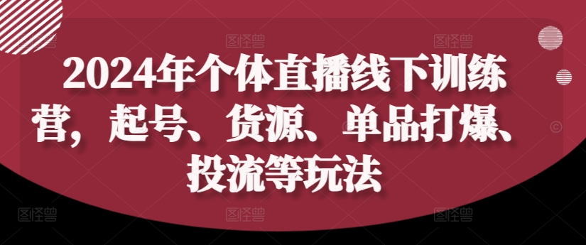 2024年个人直播间夏令营，养号、一手货源、品类打穿、投流等玩法-沐颜网创资源