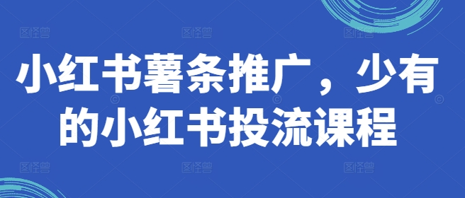 小红书的炸薯条营销推广，难得少有的小红书投流课程内容-沐颜网创资源