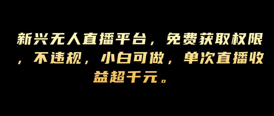 新兴无人直播平台，免费获取权限，不违规，小白可做，单次直播收益超千元-沐颜网创资源