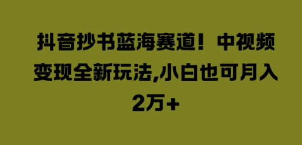 抖音抄书蓝海赛道，中视频变现全新玩法，小白也可月入2W+-沐颜网创资源
