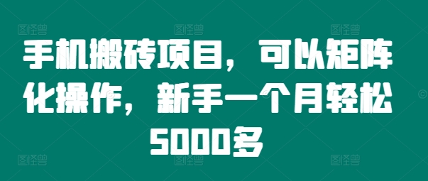 手机搬砖项目，可以矩阵化操作，新手一个月轻松5000多-沐颜网创资源