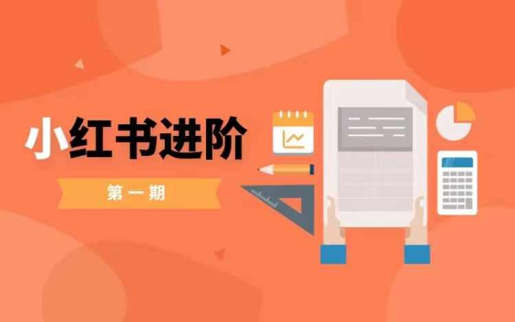 小红书进阶篇，零基础小白实战课，普通人变现的课程-沐颜网创资源