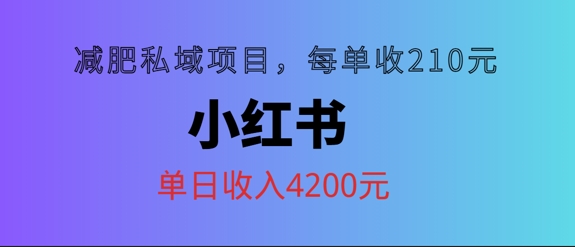 小红书减肥私域项目，每单210元，单日可卖出15单，利润3150-沐颜网创资源
