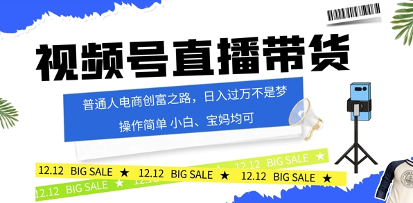 视频号读稿带货，普通人电商创富之路，小白、宝妈均可-沐颜网创资源