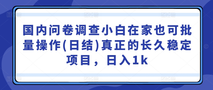 国内问卷调查小白在家也可批量操作(日结)真正的长久稳定项目，日入1k【揭秘】-沐颜网创资源