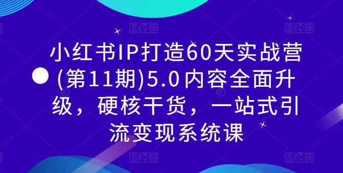小红书IP打造60天实战营(第11期)5.0​内容全面升级，硬核干货，一站式引流变现系统课-沐颜网创资源