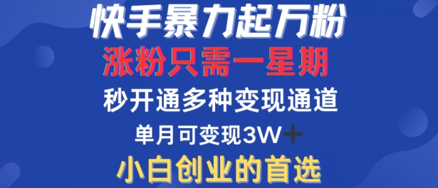 快手暴力起万粉，涨粉只需一星期，多种变现模式，直接秒开万合，单月变现过W【揭秘】-沐颜网创资源
