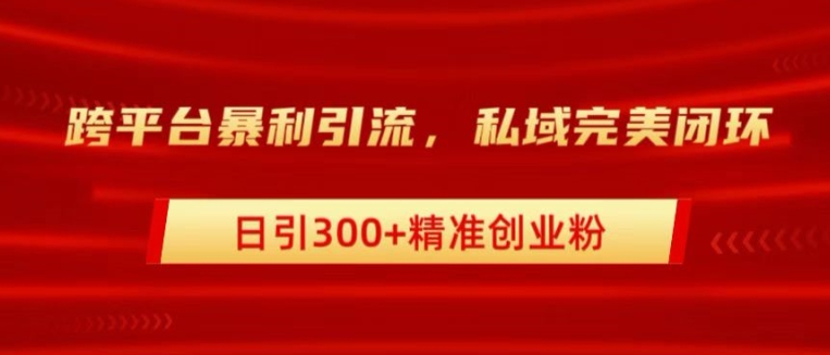 跨平台暴力引流，私域完美闭环，日引100+精准创业粉-沐颜网创资源